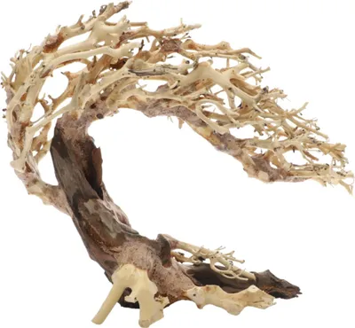 Produktbild von Dupla Crooked Root M - handgefertigte Wurzel für Aquarien