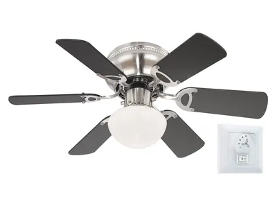 Produktbild von Deckenventilator Ugo mit Beleuchtung 76 cm von Globo