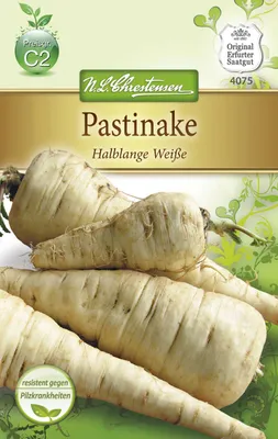 Produktbild von Pastinake Halblange Weiße | Pastinakensamen von N.L. Chrestensen