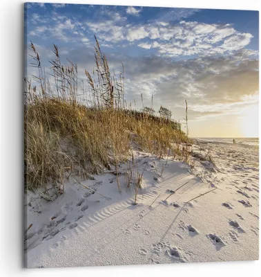 Produktbild von Bild auf Leinwand - Leinwandbild - Einteilig - Sand Gras Meer - 50x50cm - Wand Bild - Wanddeko - Wandbilder - Leinwanddruck - Bilder - Wanddekoration - Leinwand bilder - Wandbild - AC50x50-4781