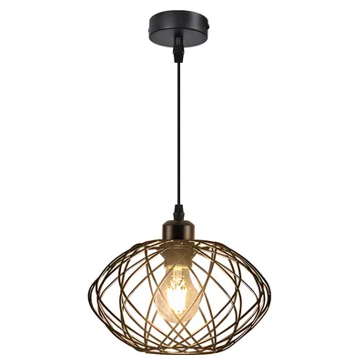 A black industrial-style pendant light with a metal wire cage and a visible Edison bulb, suspended against a white background.