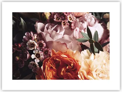 Produktbild von Poster - Poster ohne Rahmen - Blumen Getreide Rosen - 40x30 cm - Wand Bild - Wanddeko - Wandbilder - Kunstposter - Wandposter - Bilder - Kunstdruck - Wanddekoration - Wandbild - P2XAA40x30-4692