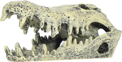 Obrázok produktu pre Qcwwy Aquarium Fish Decor Elegantná simulácia dekorácie nádrže, živicový materiál vhodný pre podvodné objavovanie, akvárium a rybie terénne úpravy