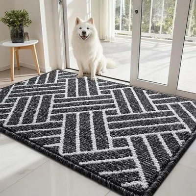 Imagen del producto de Alfombra antideslizante para interiores, lavable, de microfibra con base de goma TPR, de alta capacidad de absorción