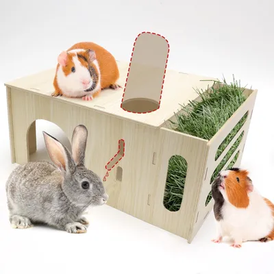 Immagine prodotto di Rifugio in legno per piccoli animali domestici, con area di riposo