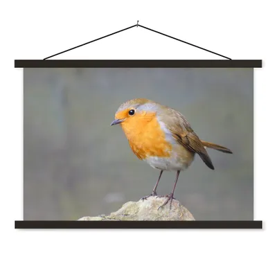 Produktbild von MuchoWow® Textilposter Vogel - Rotkehlchen - Felsen 150x100 cm mit schwarzem Rahmen - Schlafzimmer