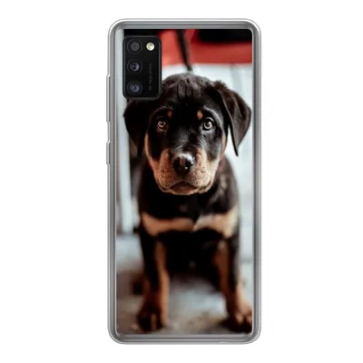 Produktbild von MuchoWow® Handyhülle Schutzhülle Hülle für Samsung Galaxy A41 Jung - Hund - Kamera Silikon Softcase Handy Hülle - Mobiltelefon