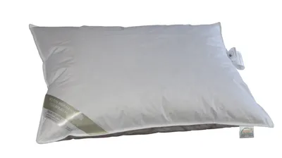 Produktbild von Betten Hofmann Sibiria Kopfkissen Federkissen 65x100 cm sibirische Wildgans 1150g