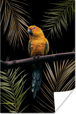 Produktbild von MuchoWow® Poster Farn - Papagei - Pflanzen 40x60 cm - Plakate für die Wand - Poster Babyzimmer