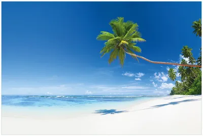 Produktbild von Wallario Premium Glasbild, freischwebende Optik, kräftige Farben, Größe 90 x 60 cm Motiv Weißer Sandstrand am Meer - Ein Traum unter Palmen