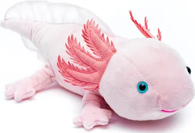 Produktbild von Uni-Toys - Axolotl (rosa) - 32 cm (Länge) - Plüsch-Wassertier - Plüschtier, Kuscheltier