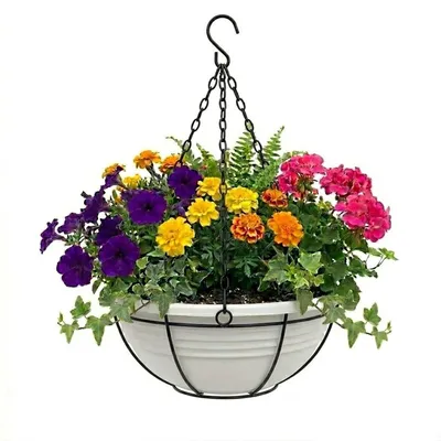 Produktbild von Plastard Blumenampel Ø 40 cm mit Metallkorb Weiß Blumenschale hängend