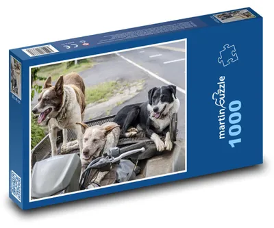 Obrázek produktu pro Puzzle 1000 Psi na motorce - martinpuzzle