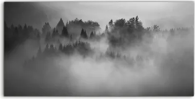 Produktbild von Coloray - Glasbild - 120x60 cm - Wandbild - Glasbilder - Deko Kunst Schwarz Weiß Landschaft