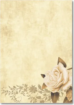 Produktbild von Motiv Briefpapier (Blumen-5006, A4, 25 Blatt). Einseitig bedrucktes Briefpapier Rosen, Ranken