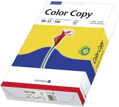 Immagine prodotto di PAPYRUS 88007860 Carta multifunzione a colori Copia A3 100 g/m²