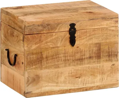 Obrázok produktu pre Úložný box The Living Store 39x28x31 cm z masívneho mangového dreva