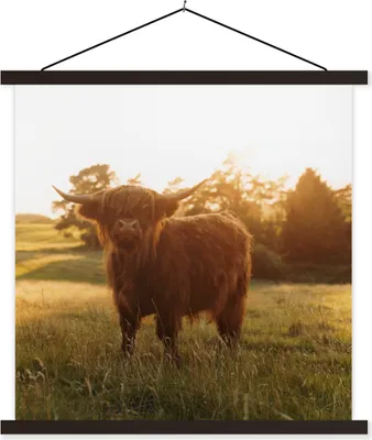 Produktbild von MuchoWow® Textilposter Schottisches Hochlandrind - Gras - Sonne 60x60 cm mit schwarzem Rahmen - Posteraufhänger