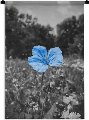 Produktbild von MuchoWow® Wandteppich Wandbehang Blumen - Schwarz - Weiß - Blau 90x135 cm Tapisserie Dekoration Wandtuch - Baumwolle - Wandskulptur