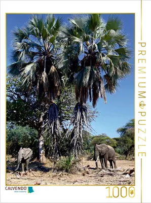Immagine prodotto di Calvendo Elefanti sotto le palme, Africa – Puzzle da 1000 pezzi, 480x640 mm, Woyke Wibke; 7368920