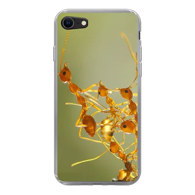 Produktbild von MuchoWow® Handyhülle Schutzhülle Hülle für iPhone 8 Ameisen - Orange - Tiere Silikon Softcase Handy Hülle - Schutzhaube