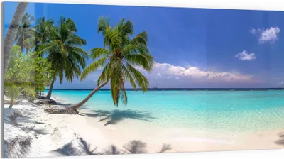 Produktbild von DEQORI Glasbild Echtglas 100x50 cm 'Paradiesischer Strand' Wandbild Bild modern Deko