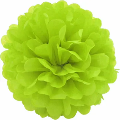 Produktbild von 1 Papier Pompon 35cm, Farbauswahl:maigrün 550 / lindgrün / hellgrün