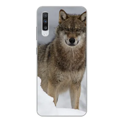 Produktbild von MuchoWow® Handyhülle Schutzhülle Hülle für Samsung Galaxy A70 Wolf - Schnee - Tiere Silikon Softcase Handy Hülle - Schutzhaube