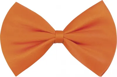 Immagine prodotto di papillon Basic uomo 10 cm arancione
