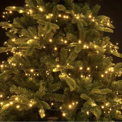 A close-up view of a Christmas tree decorated with warm white LED lights.