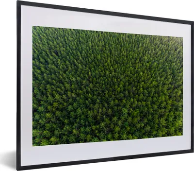 Produktbild von MuchoWow® MuchoWow® Gerahmtes Poster Wald - Neuseeland - Natur 40x30 cm - Poster mit zchwarzem Bilderrahmen - Bilderrahmen - Poster im Rahmen