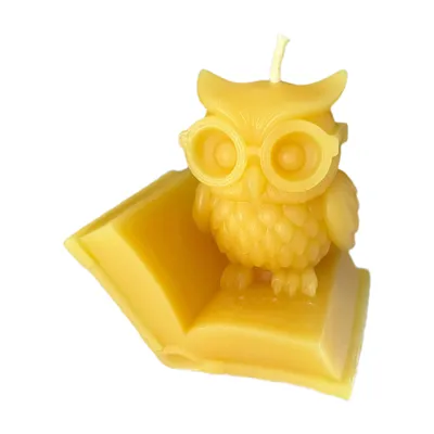 Produktbild von Bienenwachskerze Eulen Kerze 7 cm mit Brille – sitzt auf aufgeschlagenem Buch