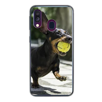 Produktbild von MuchoWow® Handyhülle Schutzhülle Hülle für Samsung Galaxy A40 Ein schwarzer Dachshund mit einem Tennisball Silikon Softcase Handy Hülle - Handy-Tasche