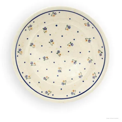 Produktbild von Bunzlauer Keramik Teller – flacher Essteller Speiseteller Ø 24 cm – spülmaschinenfest, robust & langlebig ,Dekor 111