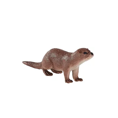 Image de Loutre Mojo Wildlife - 387128