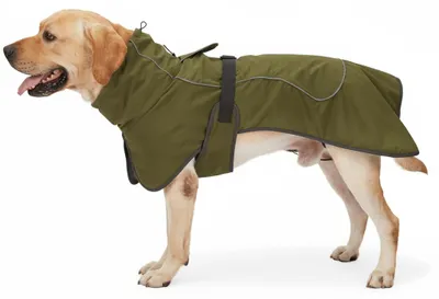 Image de Dripio - Manteau pour chien - Imperméable - Réglable, Image générée par une IA