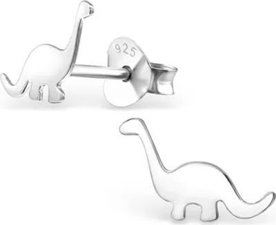 Produktbild von Kinderohrstecker: Silber Ohrringe für Mädchen und Jungen „Dinosaurier“