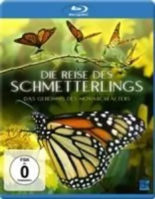 Produktbild von Die Reise des Schmetterlings