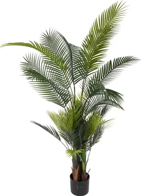 Obrázek produktu pro Umělá Rostlina Palma 160Cm 318001020