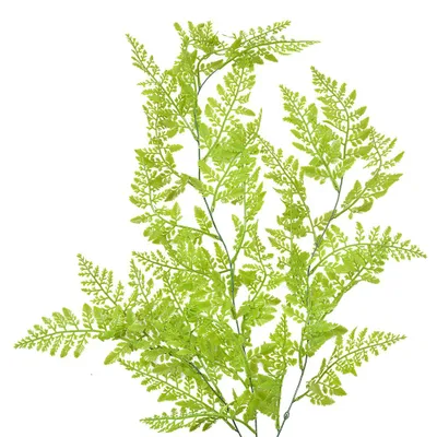 Obrázok produktu pre Clayre & Eef umelý kvet 80 cm zelený plast