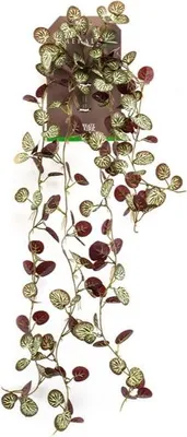 Produktbild von Künstlicher Zweig saxifraga Hängebusch grün/burgunderrot, 85 cm Hortus
