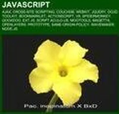 Produktbild von JavaScript