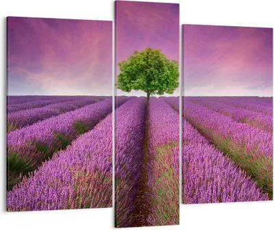 Produktbild von Bild auf Leinwand - Leinwandbild - Wiese lavenda Sommer Landschaft - 95x80cm - Wand Bild - Wanddeko - Leinwanddruck - Bilder - Kunstdruck - Wanddekoration - Leinwand bilder - Wandkunst - CB95x80-2605