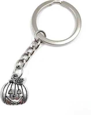 Produktbild von Onwomania Kürbis mit Gesicht Halloween Pflanze Schlüsselanhänger Metall Glücksbringer in Alu Geschenkbox, ideal zum Verschenken