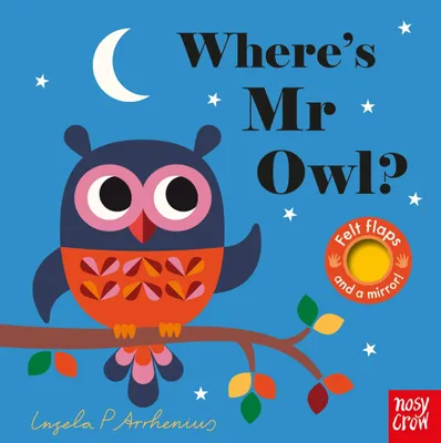 Produktbild von Where's Mr Owl?