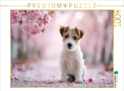 Produktbild von CALVENDO Puzzle Blütenzauber zum Verlieben | 1000 Teile Lege-Größe 64x48cm Foto-Puzzle für glückliche Stunden