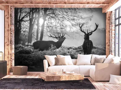 Produktbild von Vlies Fototapete Hirsch Tiere 400x280 cm Tapeten Wandtapete XXL Wald Landschaft Natur g-B-0153-a-a