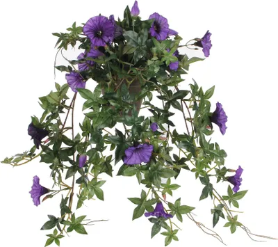 Image de Mica Decorations Plante artificielle Petunia - 50x45x25 cm - Polyester - Pourpre foncé