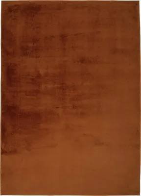 Produktbild von Hochflor Teppich Einfarbig - Terra - 160x230 cm - Fell-Teppiche für Schlafzimmer, Wohnzimmer