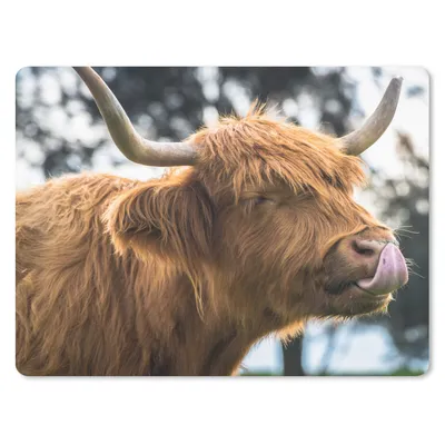 Produktbild von MuchoWow® Mauspad Mousepad Schottischer Highlander - Nase - Baum 23x19 cm - Mousepads - Maus Mat - Pad - Mausunterlage - Schreibtischunterlage - Mauspad